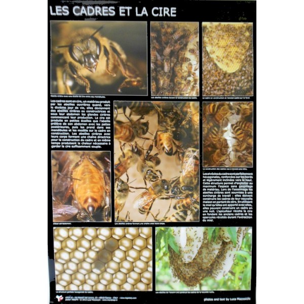 Poster : Les cadres et la cire