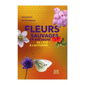 Fleurs sauvages en Bretagne de l’été à...