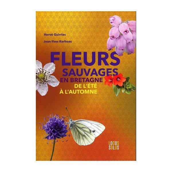 Fleurs sauvages en Bretagne de l’été à...