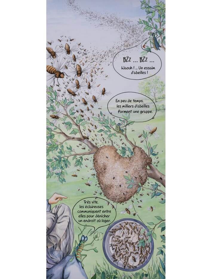Lot de 10 kakemonos : La saison du jeune apiculteur marceau