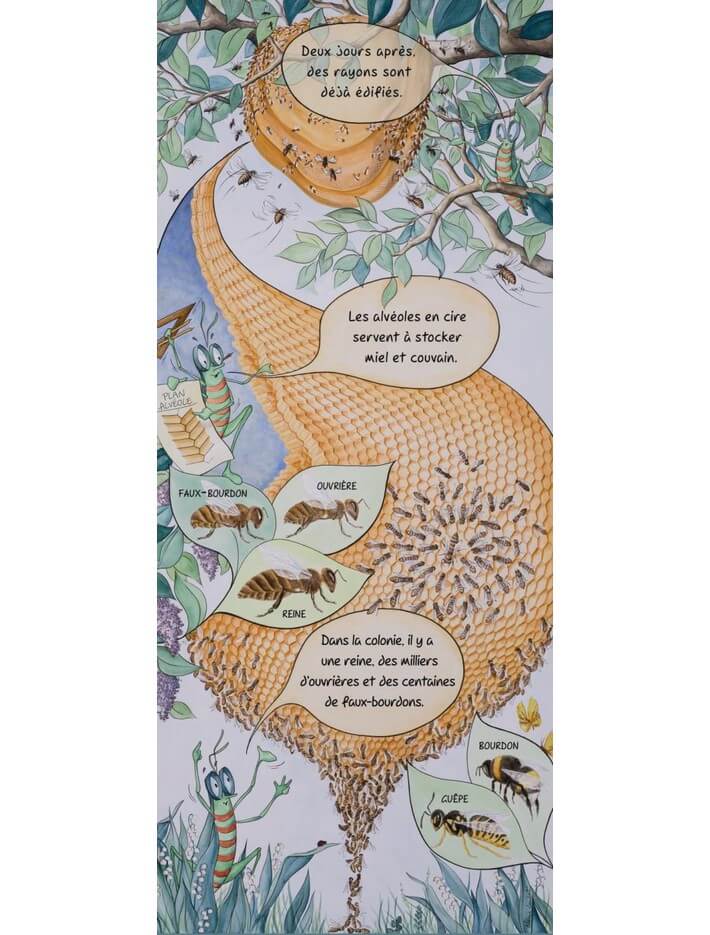 Lot de 10 kakemonos : La saison du jeune apiculteur marceau