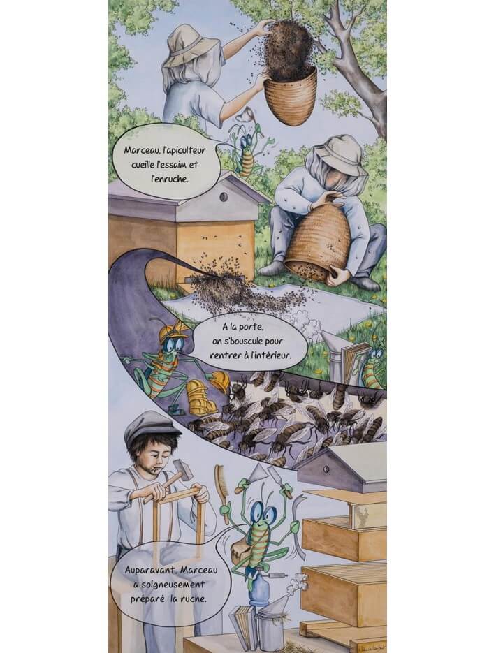 Lot de 10 kakemonos : La saison du jeune apiculteur marceau
