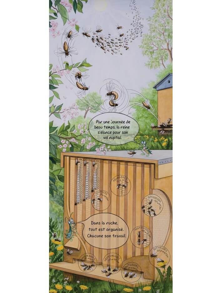 Lot de 10 kakemonos : La saison du jeune apiculteur marceau