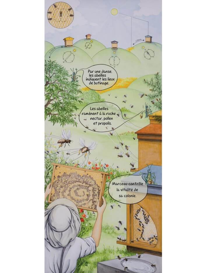 Lot de 10 kakemonos : La saison du jeune apiculteur marceau