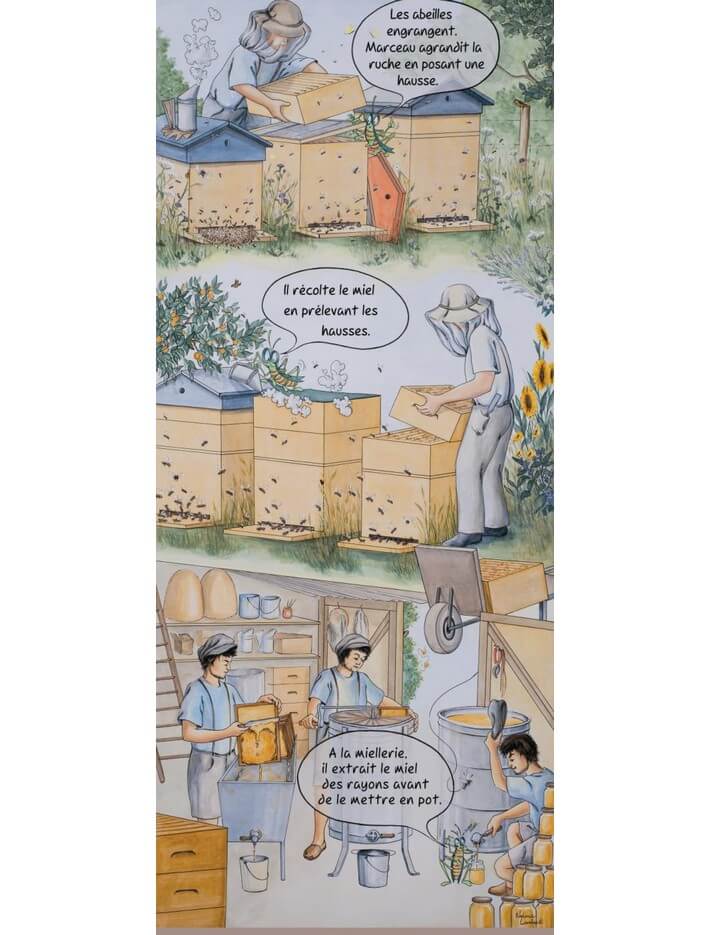 Lot de 10 kakemonos : La saison du jeune apiculteur marceau