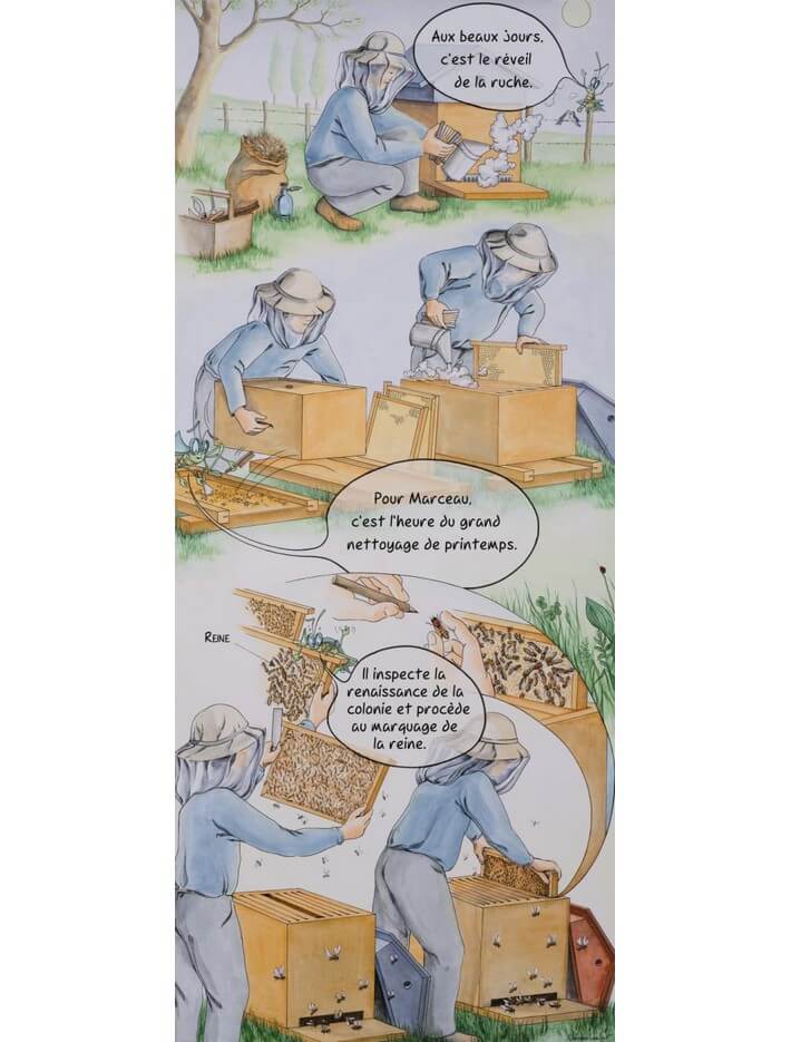 Lot de 10 kakemonos : La saison du jeune apiculteur marceau