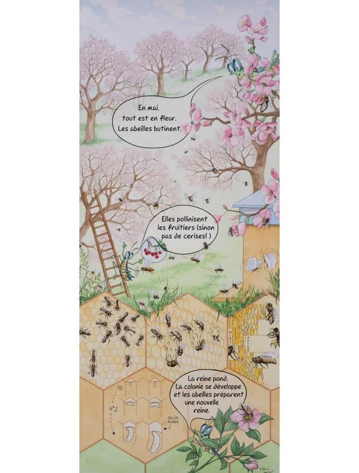 Lot de 10 kakemonos : La saison du jeune apiculteur marceau