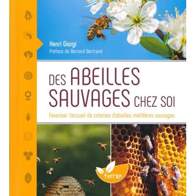 Des abeilles sauvages chez soi de Henri Giorgi