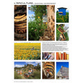 L'apiculture - Poster d'Eric Tourneret