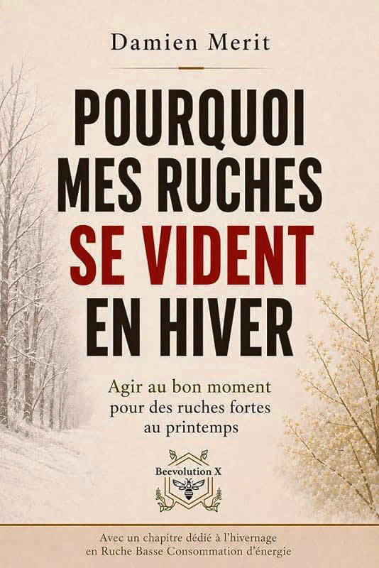 Pourquoi mes ruches se vident en hiver de Damien Merit