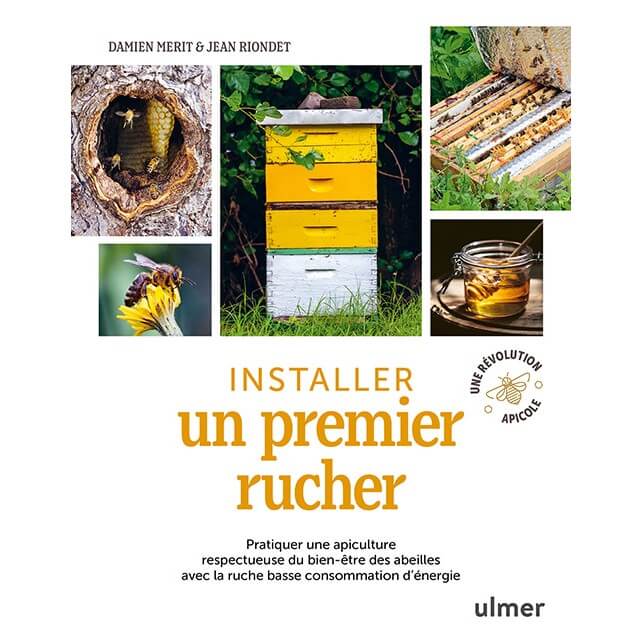 Installer un premier rucher de Damien MERIT et Jean RIONDET - Nouvelle édition