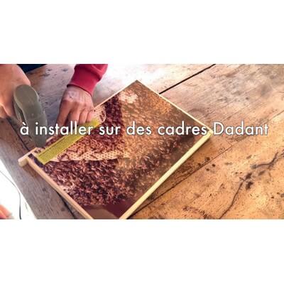 Ruche pédagogique d'Eric Tourneret