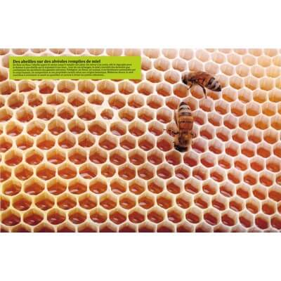 Ruche pédagogique d'Eric Tourneret