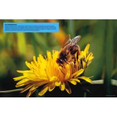 Ruche pédagogique d'Eric Tourneret