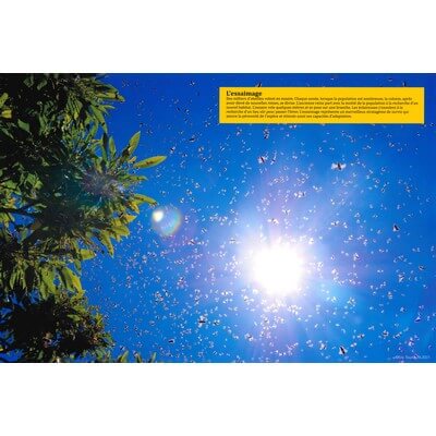 Ruche pédagogique d'Eric Tourneret