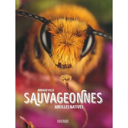 Sauvageonnes - Abeilles natives d'Arnaud Ville