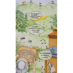 Lot de 10 kakemonos : La saison du jeune apiculteur marceau – Image 5